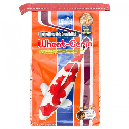 Hikari Wheat Germ 11 Pound Medium