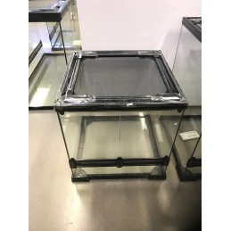 Glass 24x18x18 Terrarium