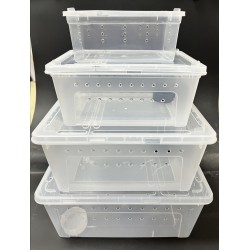 Medium Reptile Breeding Box 10.25" x 7.25" x 4.25" (PB02)
