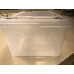 Medium Reptile Breeding Box 10.25" x 7.25" x 4.25" (PB02)