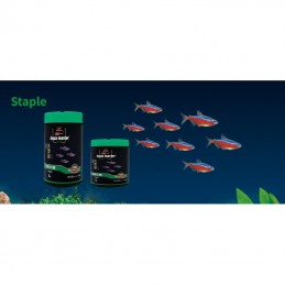 Aqua Master Mini Fish Food Staple