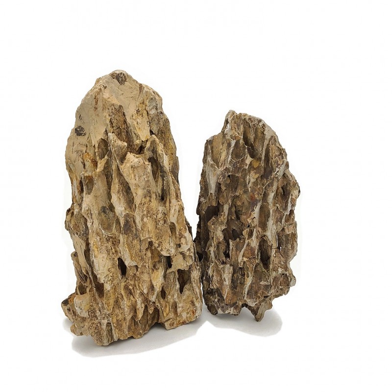 Large Dragon Ohko Aquascaping Rock