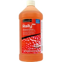 Rally Pro Cylinder bottle - Ruby Reef