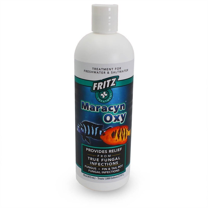 Maracyn Oxy True Fungal Infection Relief - Fritz Aquatics