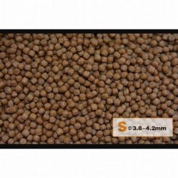 Aqua Master Koi Wheat Germ