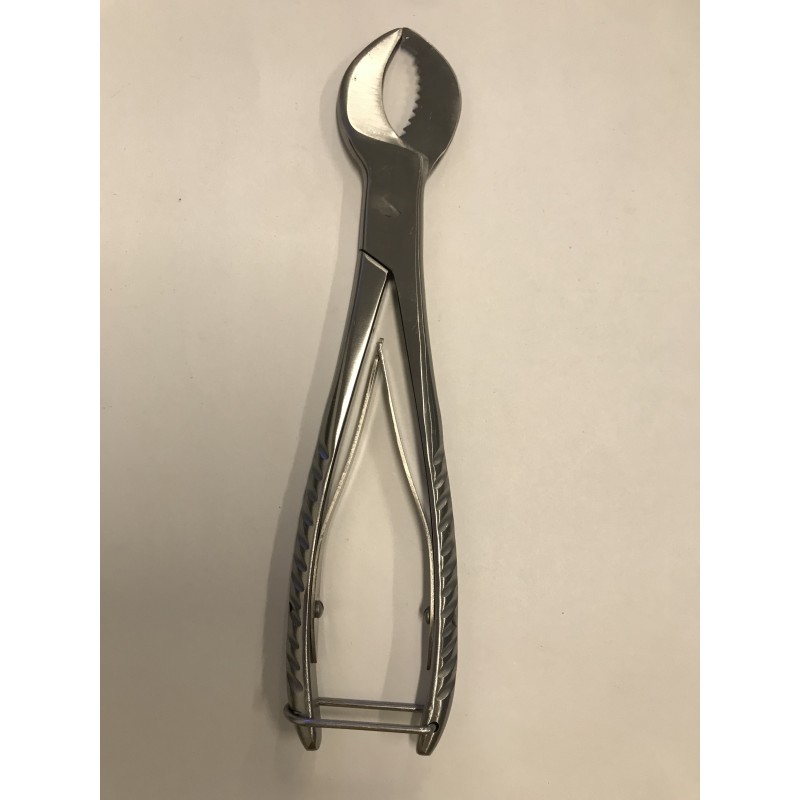Large Coral Cutter - Sea Side Aquatics