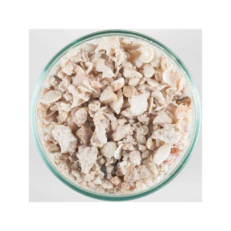Florida Crushed Coral 40lbs - CaribSea