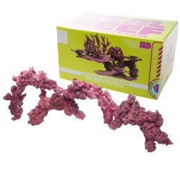 Arches Rock - Real Reef