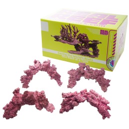 Arches Rock - Real Reef