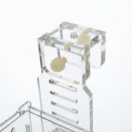 Bubble Magus Acclimation Box Collapsible RF-C