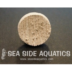 .75" Ceramic Coral Plug