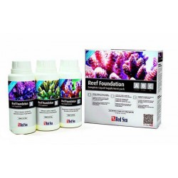 Reef Foundation