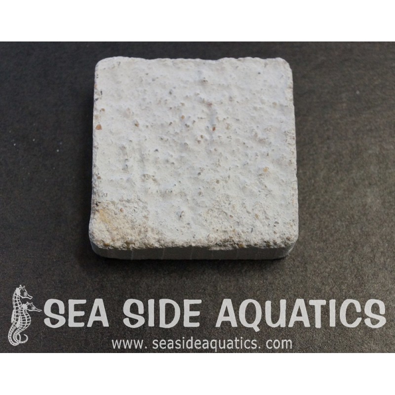 1.5" Cement Frag Square