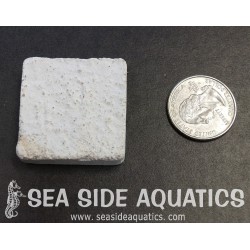 1.5" Cement Frag Square