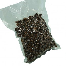 Dried Silkworm Pupae