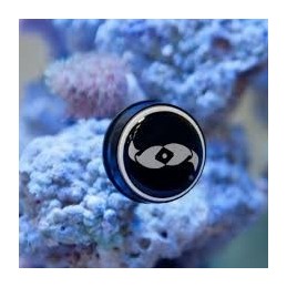Two Little Fishies Nano Magnet Cleaner