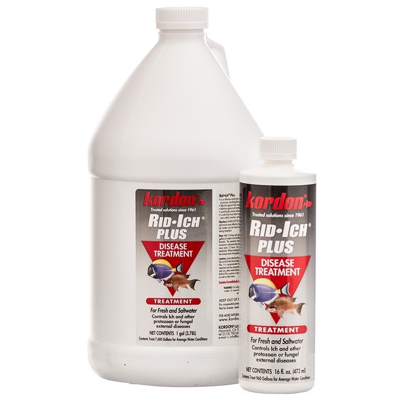 Kordon Rid-Ich Plus - Aquarium Fish Disease Treatment 16oz