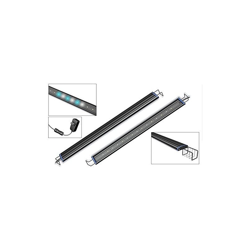 Reno LED 48" (44"-48") Light Fixture - Aquatic Life