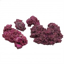 Walt Smith Reef Rock 2.1 25kg Box