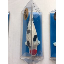 Koi Replica Ki Utsuri