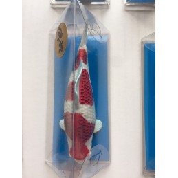 Koi Replica Tancho Showa