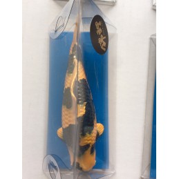 Koi Replica Tancho Showa