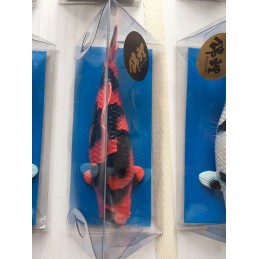 Koi Replica Tancho Sanke