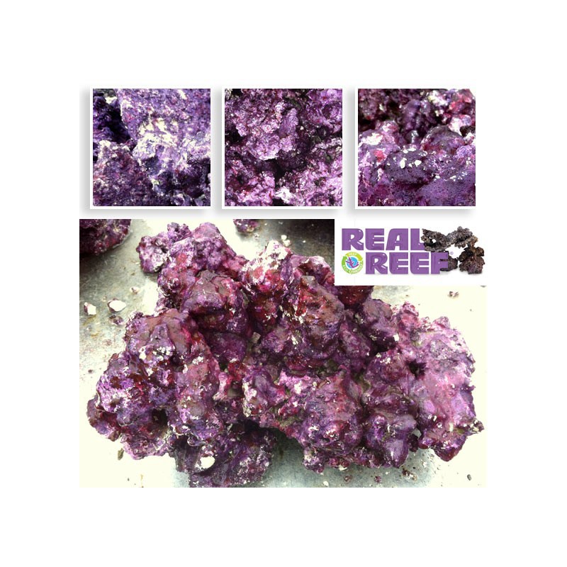 Rock (55 lb) Box - LG/XL Size - Real Reef