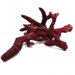 Real Reef Rock (30 lb) Box - Branch Rock - Real Reef