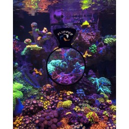 5" FLIPPER DEEPSEE MAX MAGNIFIED MAGNETIC VIEWER