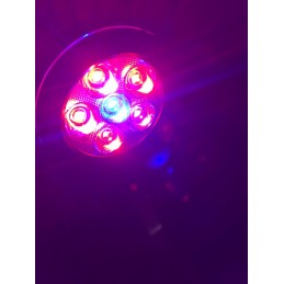 Q2-C Refugium LED Light