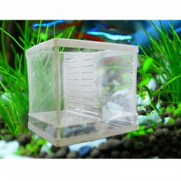 Small Aquarium Isolation Box
