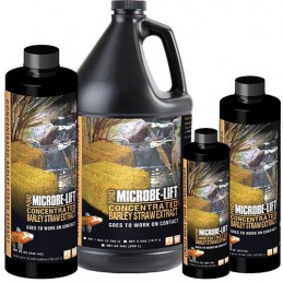 Barley Extract Concentrated 32oz - Microbe-Lift