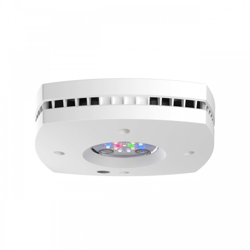 AI Prime 16 Freshwater Aquarium LED, White