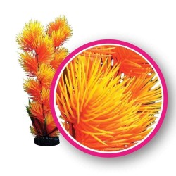 Orange Pom Pom 9" - Weco Plant
