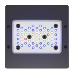 Radion Gen 6 XR15 Pro LED - Ecotech Marine