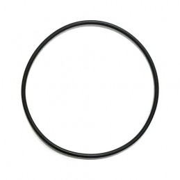Ultima II O Ring For 1,000-20,000 Filter (A50055) MAP $28.45