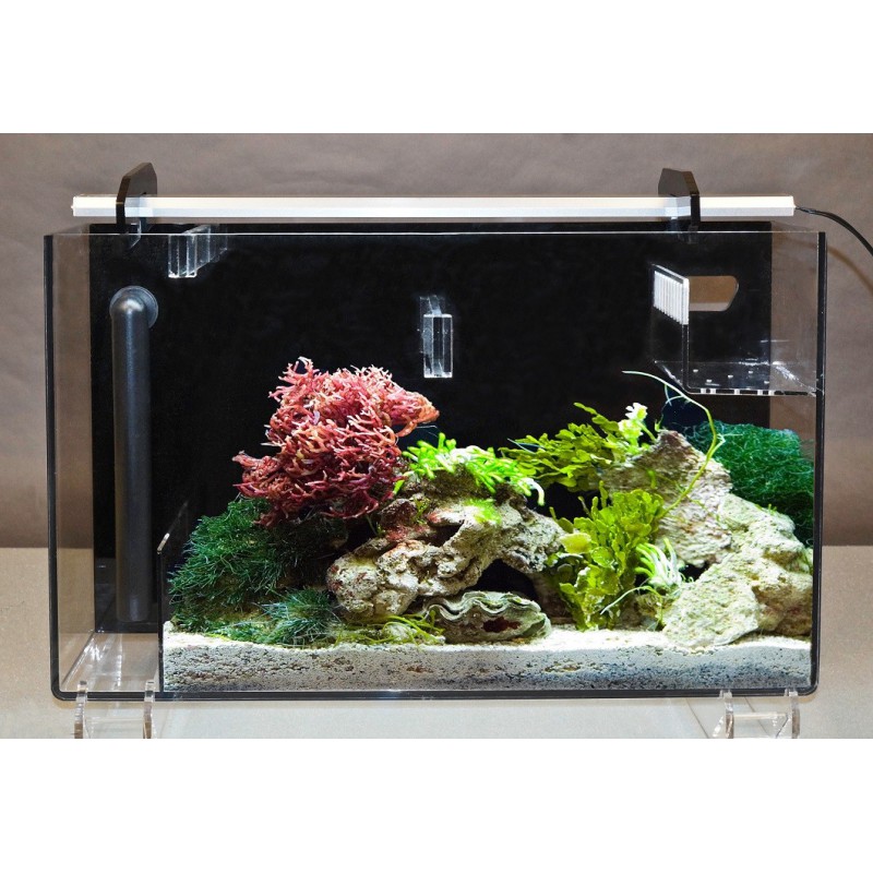 Medium AquaFuge 2 Hang On Refugiums (AF2MDDXG)
