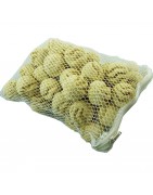 Filter Materials