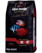 Goldfish / Cichlids