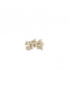 Coral Plugs