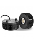 Kessil LED 