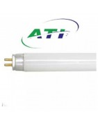 T-5 Light Bulbs