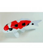 Koi Replica