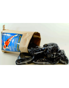 SeaSide Aquatics Food
