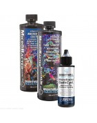 Brightwell Aquatics