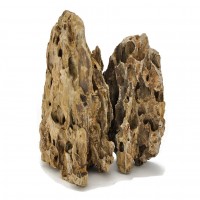 Rocks