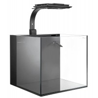 Maxspect Aquariums