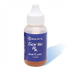 Garlic Rx - 1oz