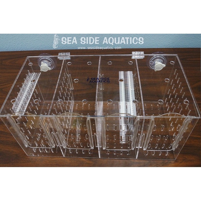 Sea Side Aquatics Acclimation Box RF400